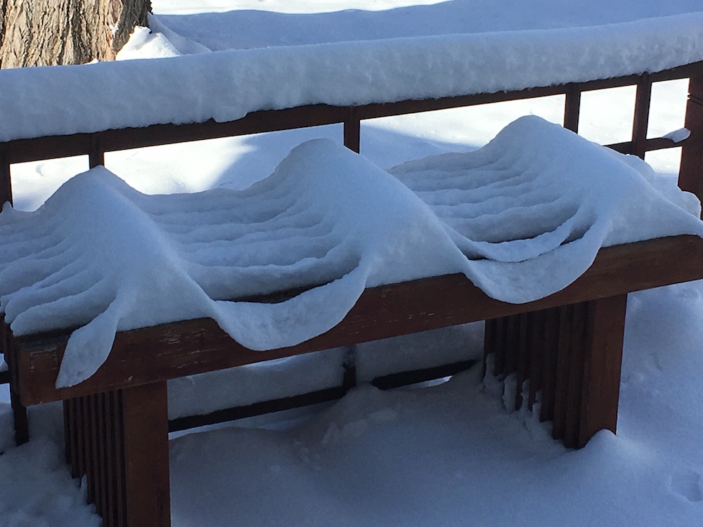 garden bench