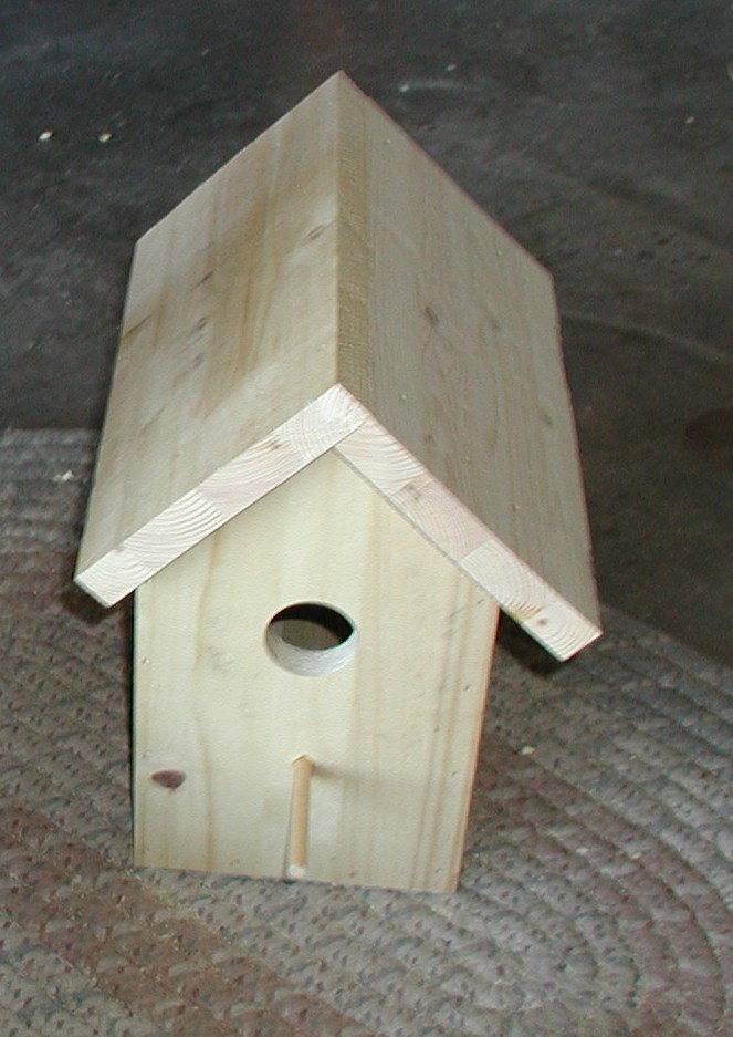 birdhouse before paint